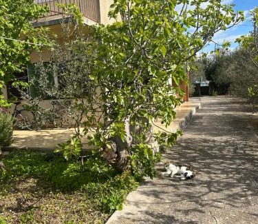 Susica Apartment | Apartments Vala