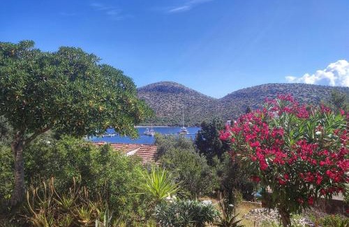 Skrivena Luka Apartment | Apartments Vesna