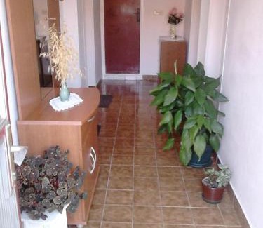 Maslenica Apartment | Apartments with parking space Maslenica, Novigrad - 11089