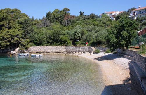 Suha Punta Apartment | Apartments with parking space Kampor, Rab - 5014