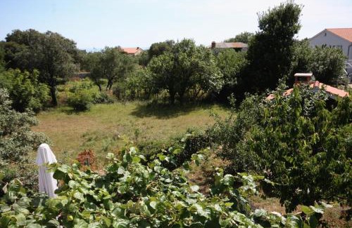Suha Punta Apartment | Apartments with parking space Kampor, Rab - 5014