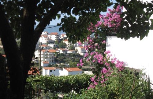 Seget Vranjica Apartment | Apartments with parking space Seget Vranjica, Trogir - 11273