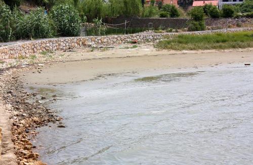 Suha Punta Apartment | Apartments with parking space Kampor, Rab - 4984