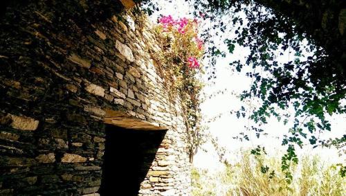 Apollonia Apartment | Apollon-Artemis Apartments