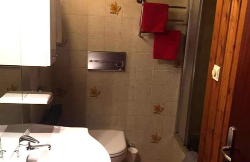 Dienten am Hochkoenig Apartment | App / 2 bedrooms / shower, WC "Klingspitz" - Haus Nelsen