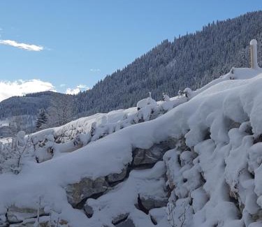 Sankt Martin am Tennengebirge Apartment | Appartement FreiRaum