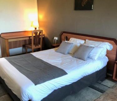 Saint-Philbert-de-Grand-Lieu Apartment | Appartement - LES COMBLES DU CHATEAU - Avec vue sur le lac - POUR 2 à 4 PERSONNES