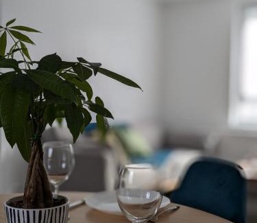 Neudorf Ouest Apartment | Appart Épine Strasbourg