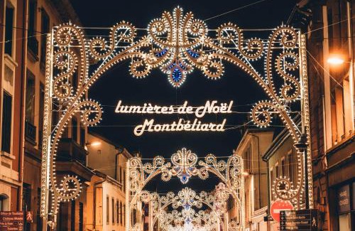 Montbeliard Apartment | Appart'Hôtel Le Phoenix