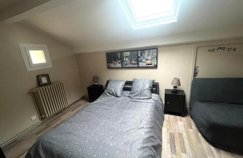 Centre Ville d'Ales Apartment | APPART HÔTEL Les Fleurs