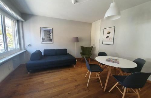 Brissago Apartment | Appartamento Fidanza 4 in Brissago Center