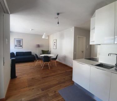 Brissago Apartment | Appartamento Fidanza 4 in Brissago Center