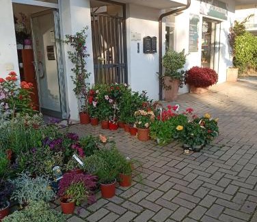 Praia a Mare Apartment | Appartamento vicino al mare