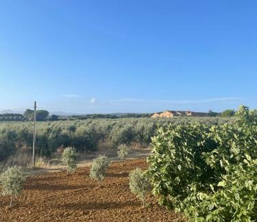 Castagneto Carducci Apartment | Appartamento Villa Caprareccia