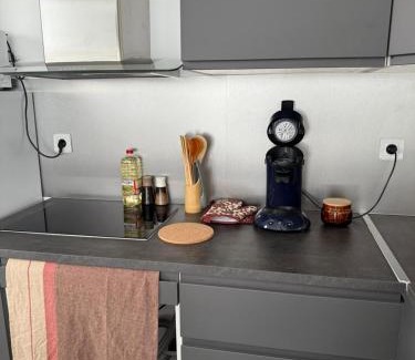 Saint-Orens-de-Gameville Apartment | Appartement climatisé Saint Orens N5