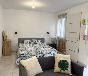 Saint-Orens-de-Gameville Apartment | Appartement climatisé Saint Orens N5