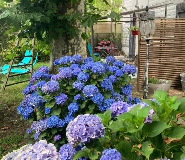 Saint-Julien-en-Born Apartment | Appartement 2/3 personnes à 10 minutes de Contis plage (Saint Julien en Born)