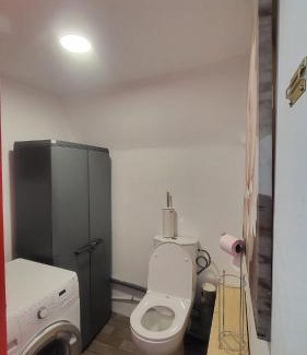 Mont-Dore Apartment | Appartement 200m carré mont dore