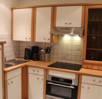 Mittelberg Apartment | Appartement 320 Kunners Oostenrijk