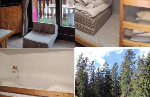 Mieussy Apartment | Appartement a la Montagne Wifi Internet Pour les Amoureux du Calme π