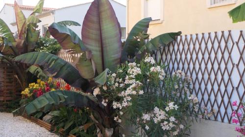 Agde Apartment | Appartement avec piscine et parking privé