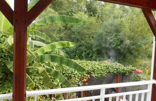 Anse-Bertrand Apartment | Appartement confortable a Anse Bertrand 80 m² avec barbecue