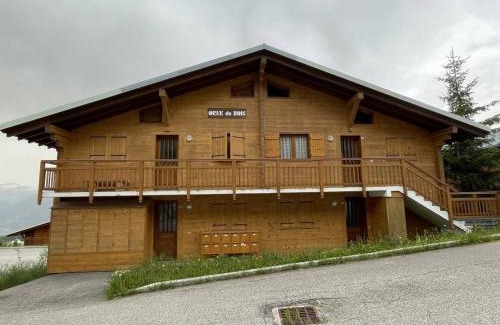 Les Saisies Apartment | Appartement cosy 2 pièces - Proche pistes - Terrasse sud - 4 pers - FR-1-810-24