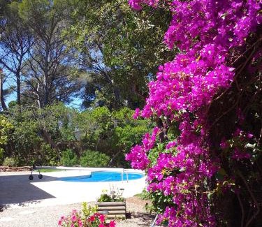 Boulouris-sur-Mer Apartment | Appartement dans Villa St Raphael