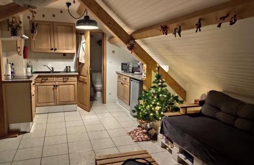 Fouchy Apartment | Appartement douillet avec vue sur les montagnes