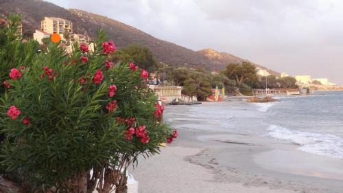 Ajaccio Apartment | Appartement « Marinella » splendide vue mer aux Sanguinaires
