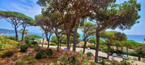 La Nartelle Apartment | APPARTEMENT VUE MER 200 M DES PLAGES - DJUMBO