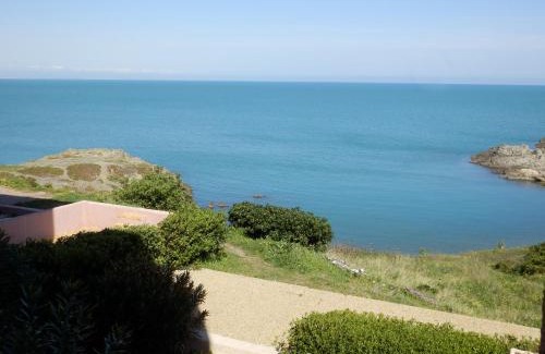 Port-Vendres Apartment | Appartement vue mer Port Vendres Collioure direct crique wifi