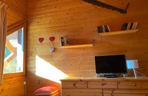 Risoul Apartment | Appartements duplex dans chalet - Pléiades -, skis aux pieds avec clefs à disposition via agence -nous louons l'un et-ou l'autre des deux appartements de notre chalet quasiment identiques