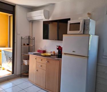 Argeles Plage Apartment | Appt bord de mer deux chambres, clim, parking, piscine