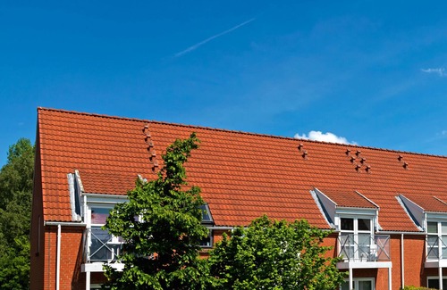Kirchdorf Apartment | Apt. "Schaumkrone" - Centrally and peaceful located holiday apartment
