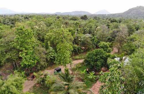 Dambulla Resort | Araliya Self Cooking Resort Dambulla