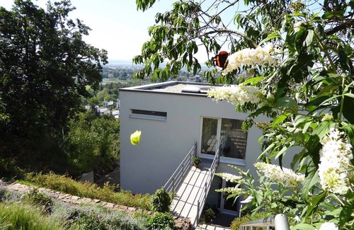 Loschwitz Apartment | Architect-designed house (built 2010) with a mountain garden in a panoramic area