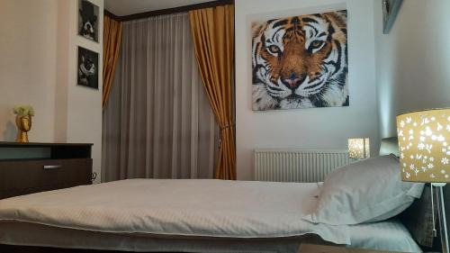 Selimbar Apartment | Armonia Sweet Sibiu