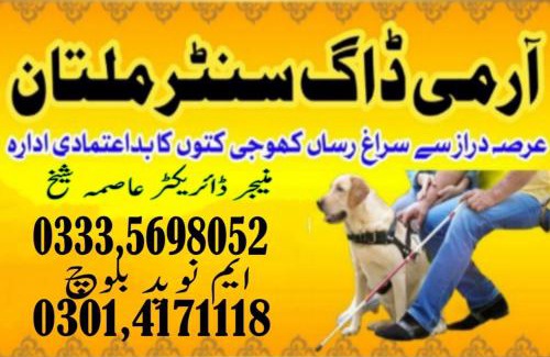 Faisalabad Apartment | Army Dog Center Faisalabad