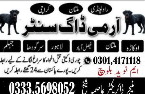 Faisalabad Apartment | Army Dog Center Faisalabad