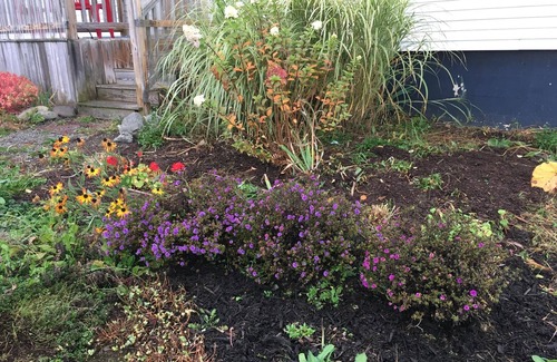 Oxbow House | Aroostook County Cottage in Oxbow - Wildlife, Nature, Fishing, Bird Hunting