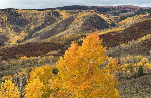 Cerise Ranch House | Artful Mountain Estate near Aspen and Snowmass