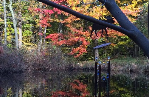 Fennville Cabin | Artist cabin overlooks the pond. A peaceful setting.