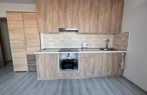 Jasienow Apartment | Artvelle Apartment