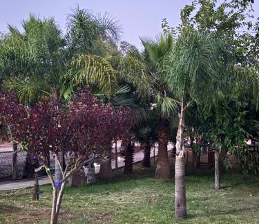 Sabbah House | Asmae House