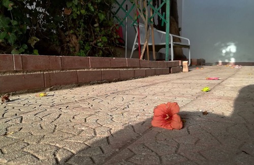 Licata House | At 250 mt from the sea small and comfortable bungalow for singles, families, pet!