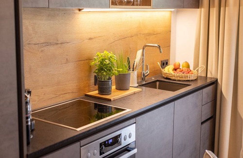 Bruck an der Grossglocknerstrasse Apartment | Cosy apartment for 4 people with WIFI, TV, balcony, pets allowed and panoramic view