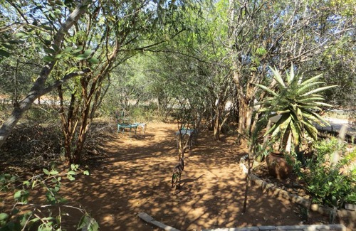 Hoedspruit Apartment | At Rest Bushstay