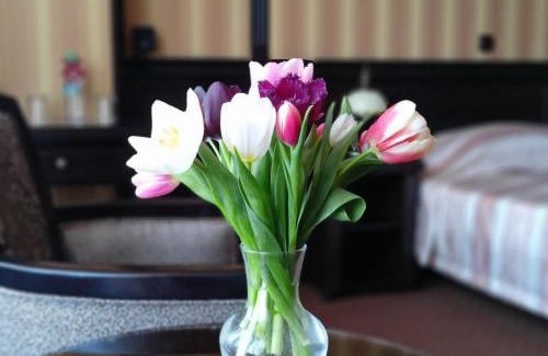 Kyiv Hotel | Attache Hotel