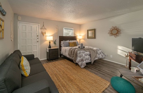Barton Heights Apartment | ATX ‘Wildflower’ in Zilker Park near S Lamar